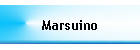 Marsuino